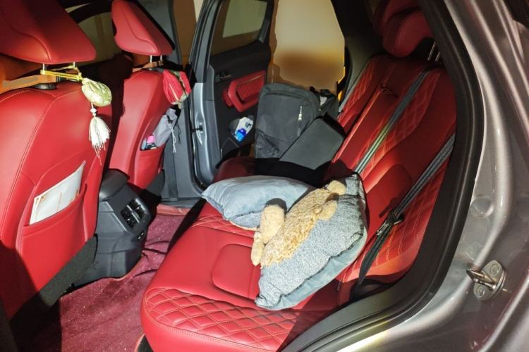 Used Haval H6 2021 1.5 GDIT Automatic Champion Edition Left Rear Seat
