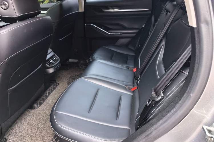 Used Haval H6 2021 3rd Generation 1.5T Automatic Two-Wheel-Drive Supreme Left Rear Seat