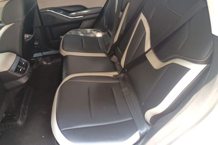 Used Haval H6 2021 3rd Generation 1.5T Automatic Two-Wheel-Drive Supreme Left Rear Seat
