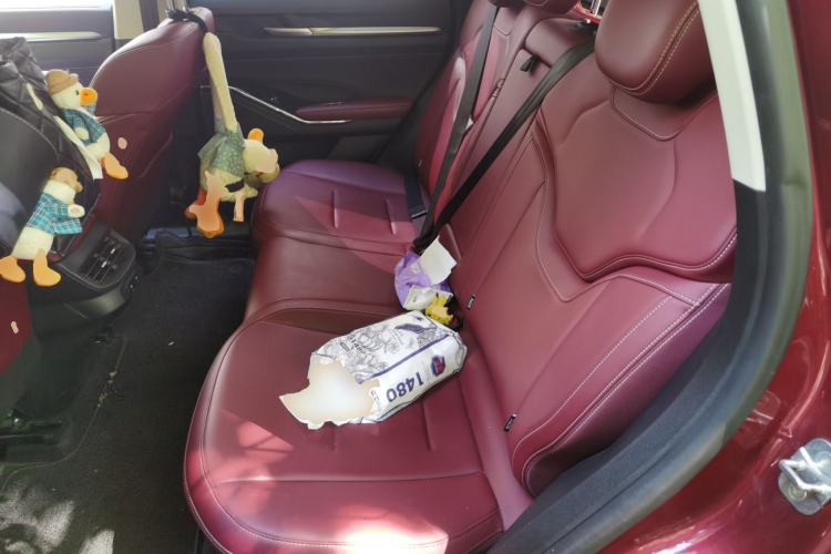 Used Haval H6 2021 3rd Generation 1.5T Automatic Two-Wheel Drive Max Left Rear Seat