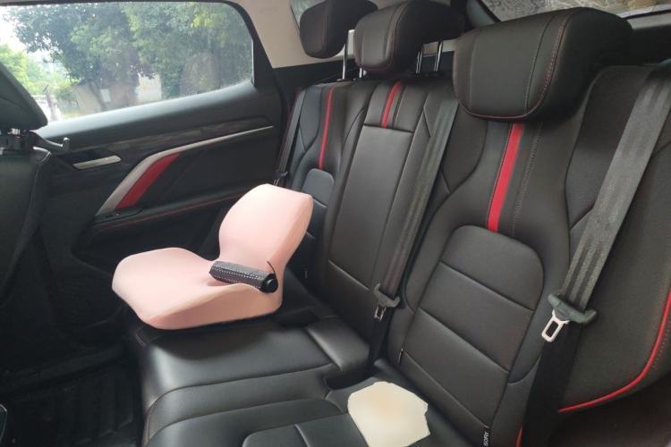 Used Haval H6 2021 National Trend Edition 1.5T Automatic Champion Version Left Rear Seat