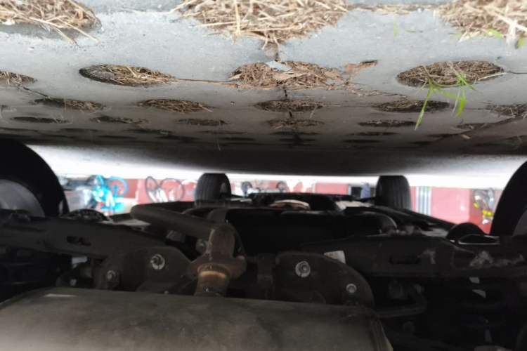 Used Haval H6 2021 3rd Generation 1.5T Automatic Two-Wheel Drive Max Chassis Rear