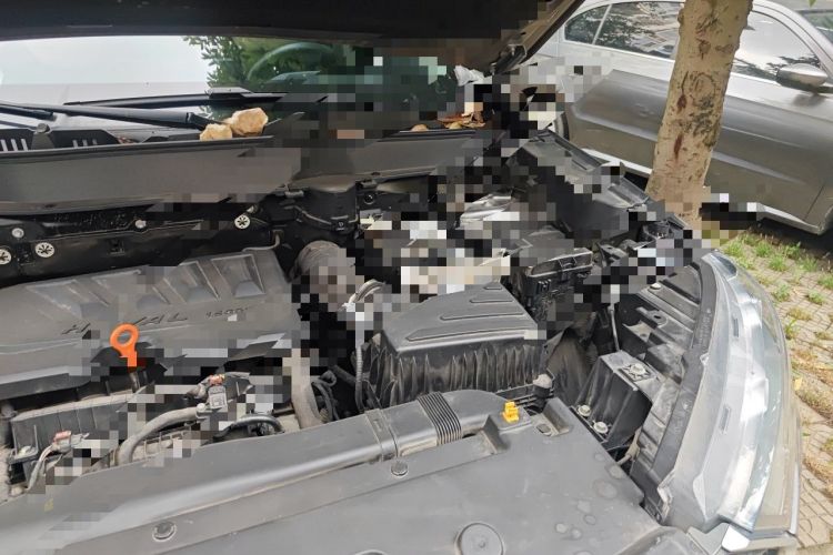 Used Haval H6 2021 3rd Generation 1.5T Automatic Two-Wheel-Drive Supreme Engine Bay Left