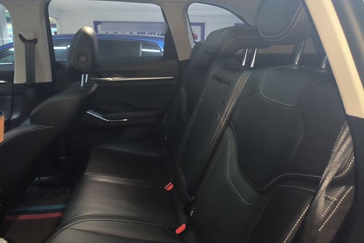 Used Haval H6 2021 3rd Generation 1.5T Automatic Two-Wheel Drive Supreme+ Left Rear Seat