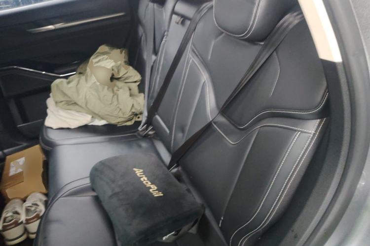 Used Haval H6 2021 3rd Generation 1.5T Automatic Two-Wheel Drive Pro Left Rear Seat