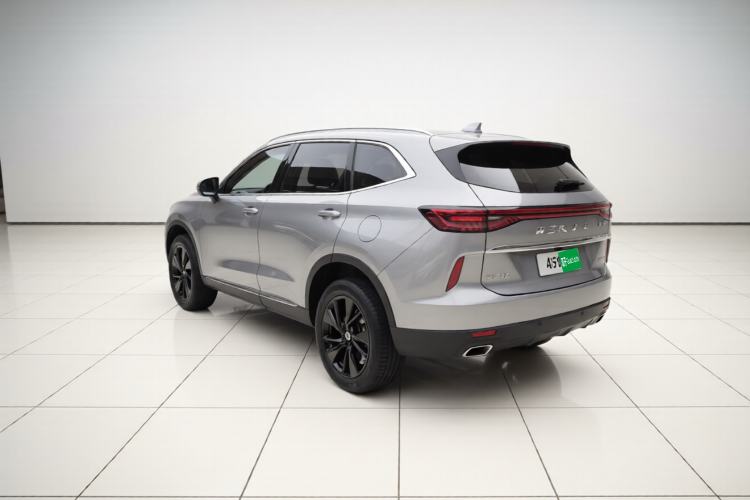 Used Haval H6 2021 3rd Generation 2.0T Automatic Two-Wheel Drive Max Rear Left 45 Deg