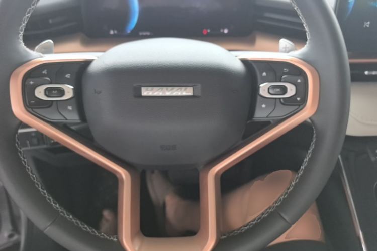 Used Haval H6 2021 3rd Generation 1.5T Automatic Two-Wheel Drive Pro Steering Wheel