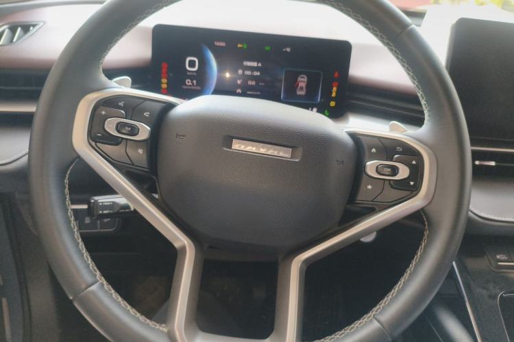 Used Haval H6 2021 3rd Generation 2.0T Automatic Two-Wheel Drive Max Steering Wheel