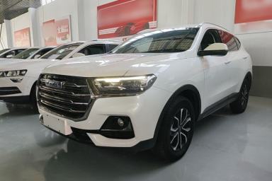 Used Haval H6 2021 National Trend Edition 1.5T Automatic Urban Version
