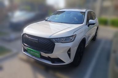 Used Haval H6 2021 3rd Generation 2.0T Automatic Two-Wheel Drive Max