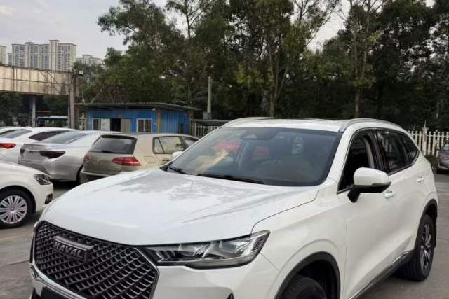 Used Haval H6 2021 3rd Generation 2.0T Automatic Two-Wheel Drive Max
