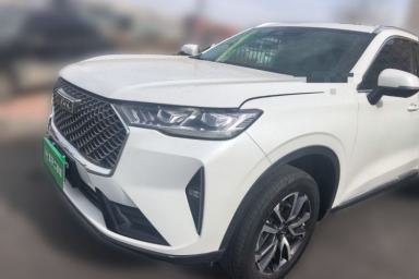 Used Haval H6 2021 1.5T Automatic Champion Edition