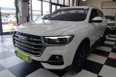 Used Haval H6 2021 National Trend Edition 1.5T Automatic Urban Version