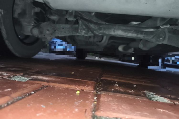 Used Haval H6 2021 National Trend Edition 1.5T Automatic Urban Version Chassis Rear