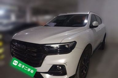 Used Haval H6 2021 National Trend Edition 1.5T Automatic Urban Version