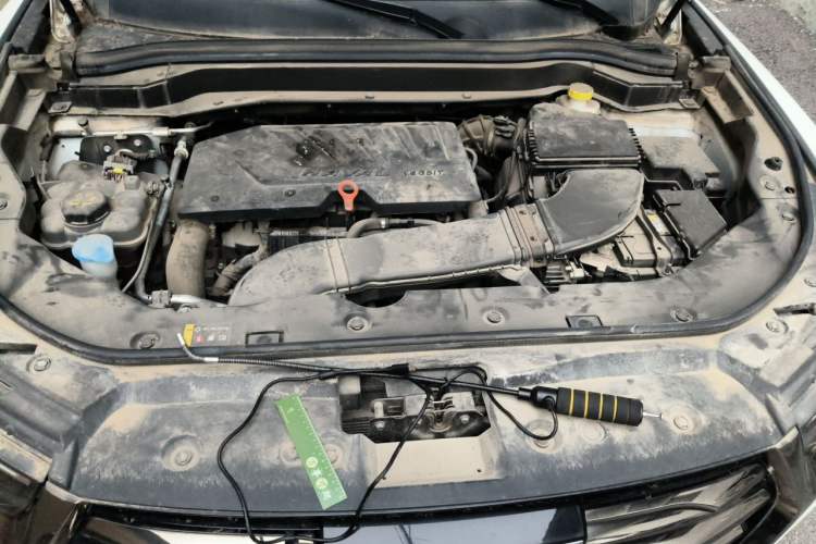 Used Haval H6 2021 China Trend Edition 1.5 GDIT Automatic Champion Version Engine Bay