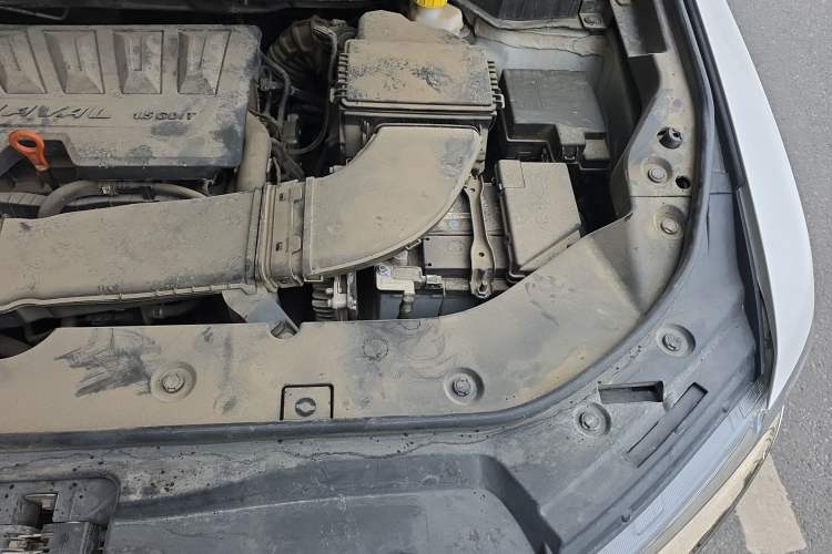 Used Haval H6 2021 China Trend Edition 1.5 GDIT Automatic Champion Version Engine Bay Left