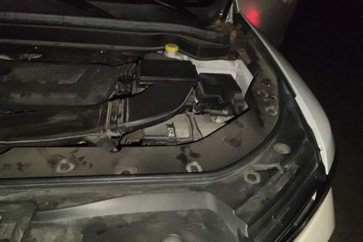 Used Haval H6 2021 2.0 GDIT Automatic GT Luxury Edition Engine Bay Left