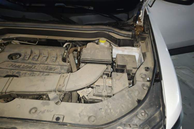 Used Haval H6 2021 National Trend Edition 1.5T Automatic Urban Version Engine Bay Left