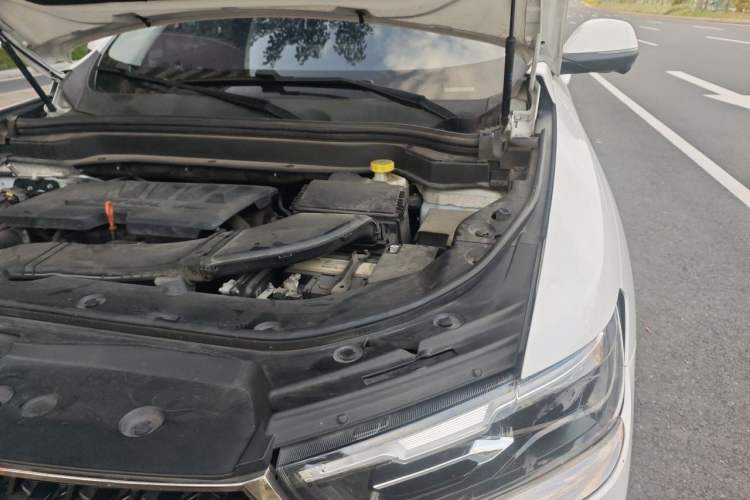 Used Haval H6 2021 China Trend Edition 1.5 GDIT Automatic Champion Version Engine Bay Left