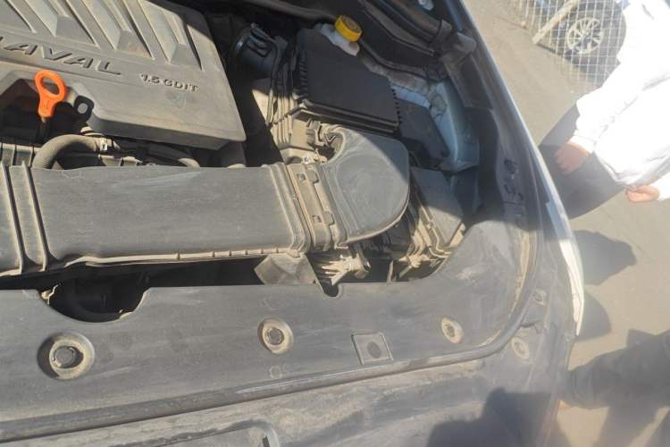Used Haval H6 2021 China Trend Edition 1.5 GDIT Automatic Champion Version Engine Bay Left