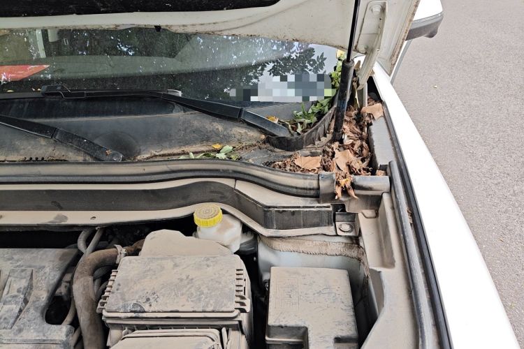 Used Haval H6 2021 1.5T Automatic Champion Edition Engine Bay Left