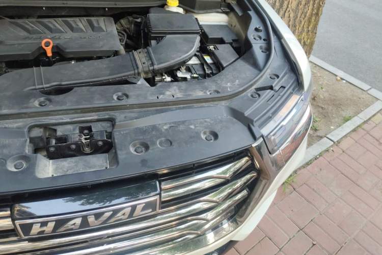 Used Haval H6 2021 China Trend Edition 1.5 GDIT Automatic Champion Version Engine Bay Left