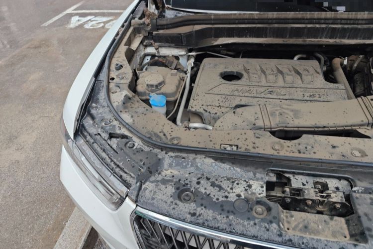 Used Haval H6 2021 1.5T Automatic Urban Edition Engine Bay Right