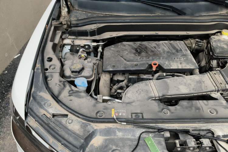 Used Haval H6 2021 China Trend Edition 1.5 GDIT Automatic Champion Version Engine Bay Right