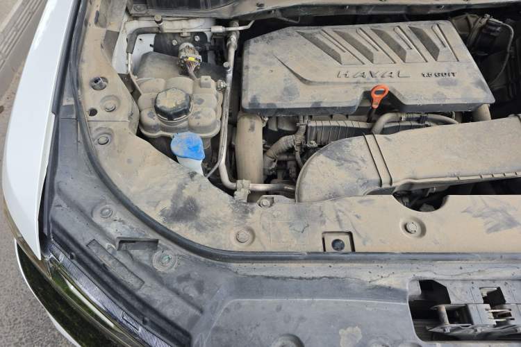 Used Haval H6 2021 China Trend Edition 1.5 GDIT Automatic Champion Version Engine Bay Right