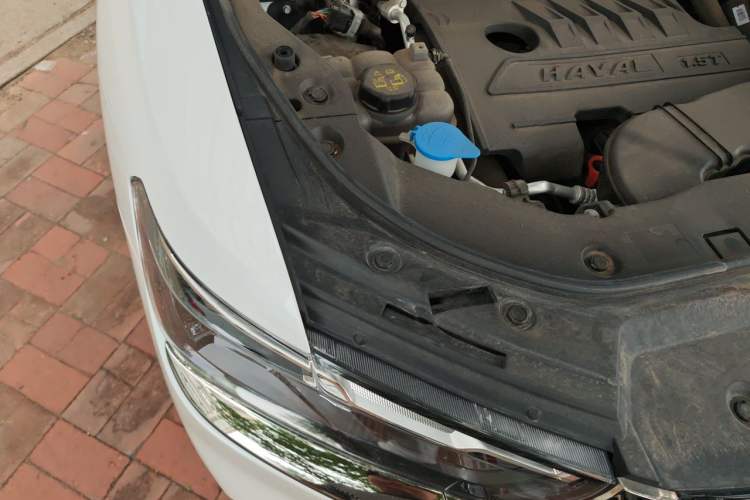 Used Haval H6 2021 National Trend Edition 1.5T Automatic Urban Version Engine Bay Right