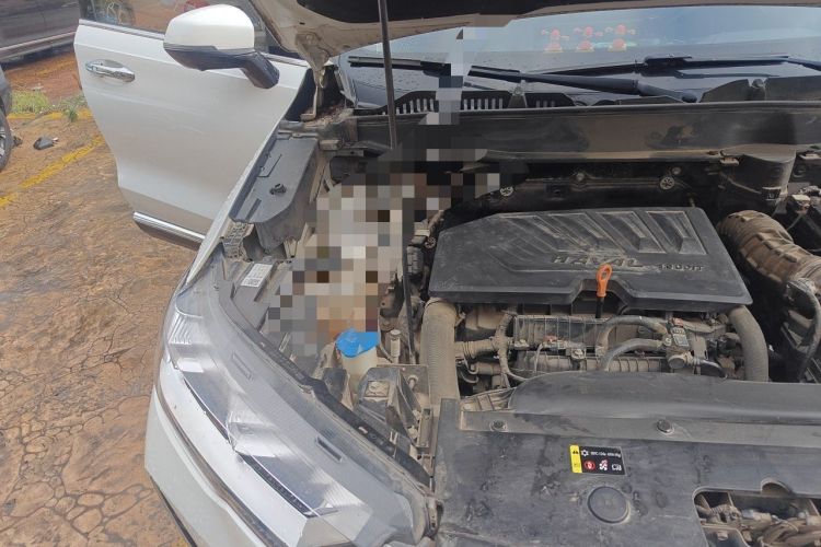 Used Haval H6 2021 3rd Generation 1.5T Automatic Two-Wheel-Drive Supreme Engine Bay Right