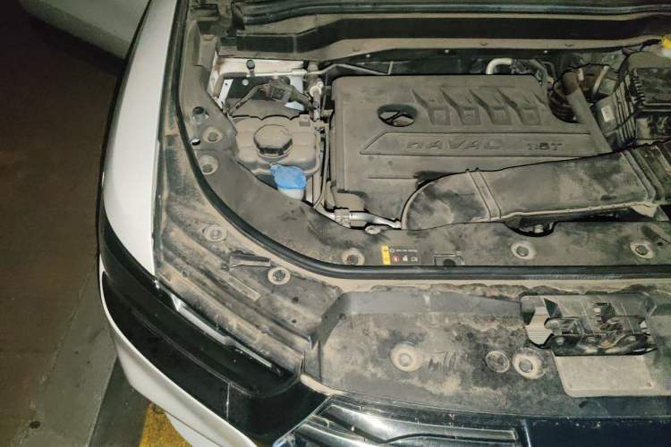 Used Haval H6 2021 National Trend Edition 1.5T Automatic Urban Version Engine Bay Right