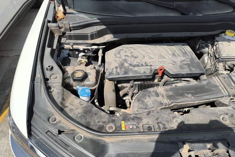 Used Haval H6 2021 China Trend Edition 1.5 GDIT Automatic Champion Version Engine Bay Right