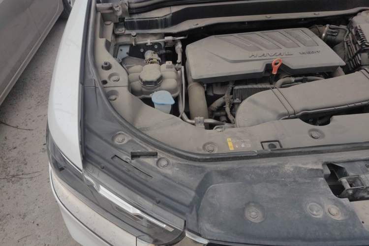 Used Haval H6 2021 China Trend Edition 1.5 GDIT Automatic Champion Version Engine Bay Right