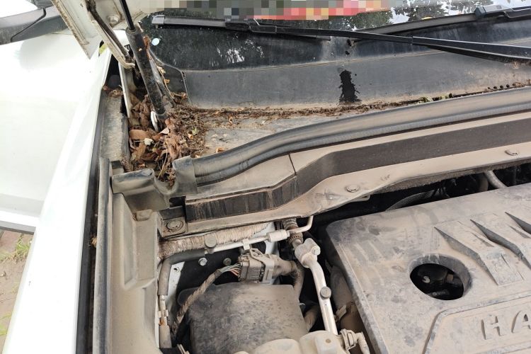 Used Haval H6 2021 1.5T Automatic Champion Edition Engine Bay Right