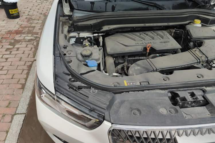 Used Haval H6 2021 China Trend Edition 1.5 GDIT Automatic Champion Version Engine Bay Right