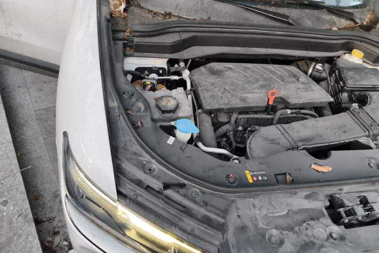 Used Haval H6 2021 National Trend Edition 1.5 GDIT Automatic Luxury Version Engine Bay Right