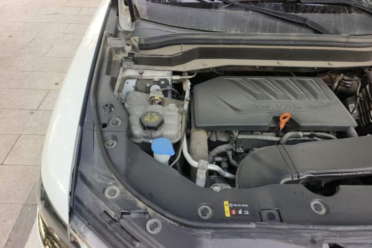 Used Haval H6 2021 China Trend Edition 1.5 GDIT Automatic Champion Version Engine Bay Right
