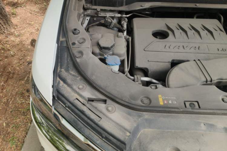 Used Haval H6 2021 National Trend Edition 1.5T Automatic Champion Version Engine Bay Right