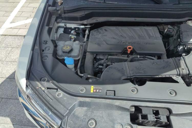 Used Haval H6 2021 China Trend Edition 1.5 GDIT Automatic Champion Version Engine Bay Right