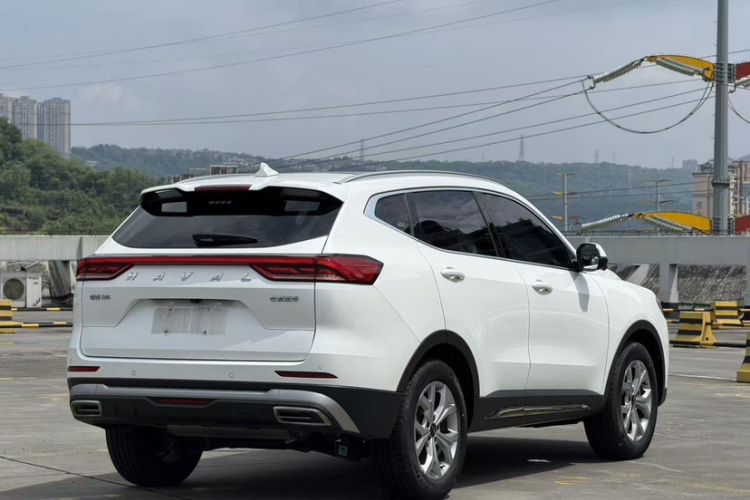 Used Haval H6 2021 National Trend Edition 1.5T Automatic Champion Version Exterior 1
