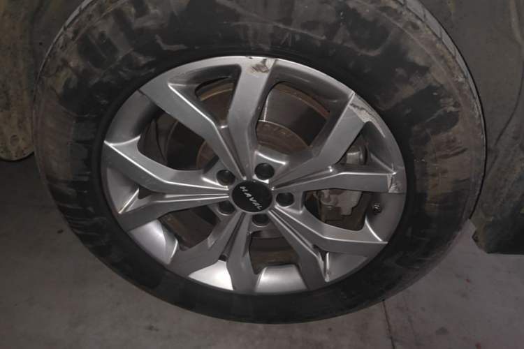 Used Haval H6 2021 National Trend Edition 1.5T Automatic Champion Version Exterior 1