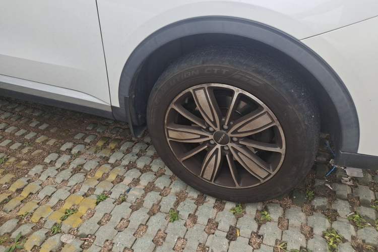 Used Haval H6 2021 1.5 GDIT Automatic Champion Edition Exterior 1