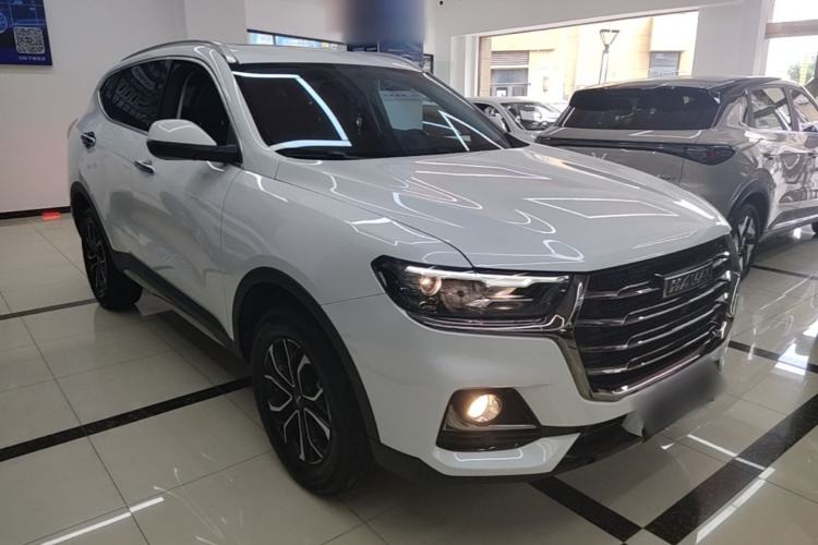 Used Haval H6 2021 National Trend Edition 1.5T Automatic Urban Version Exterior 1