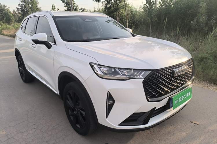 Used Haval H6 2021 3rd Generation 2.0T Automatic Two-Wheel Drive Max Exterior 1