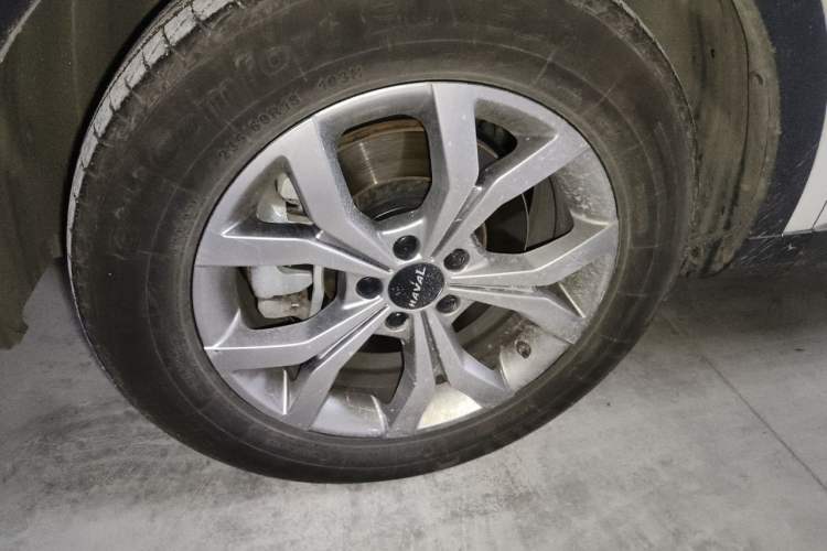 Used Haval H6 2021 National Trend Edition 1.5T Automatic Champion Version Exterior 1