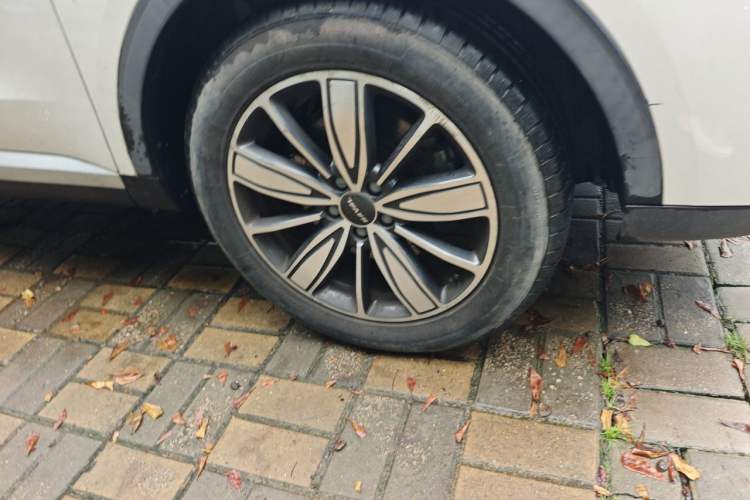 Used Haval H6 2021 1.5T Automatic Champion Edition Exterior 1