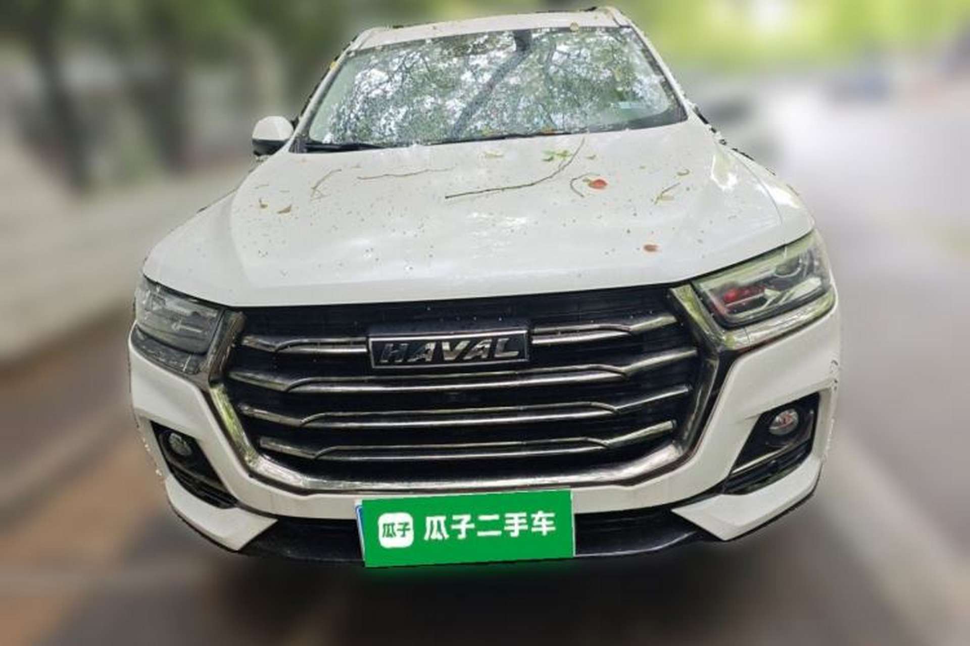 Used Haval H6 2021 National Trend Edition 1.5T Automatic Champion Version Exterior 1