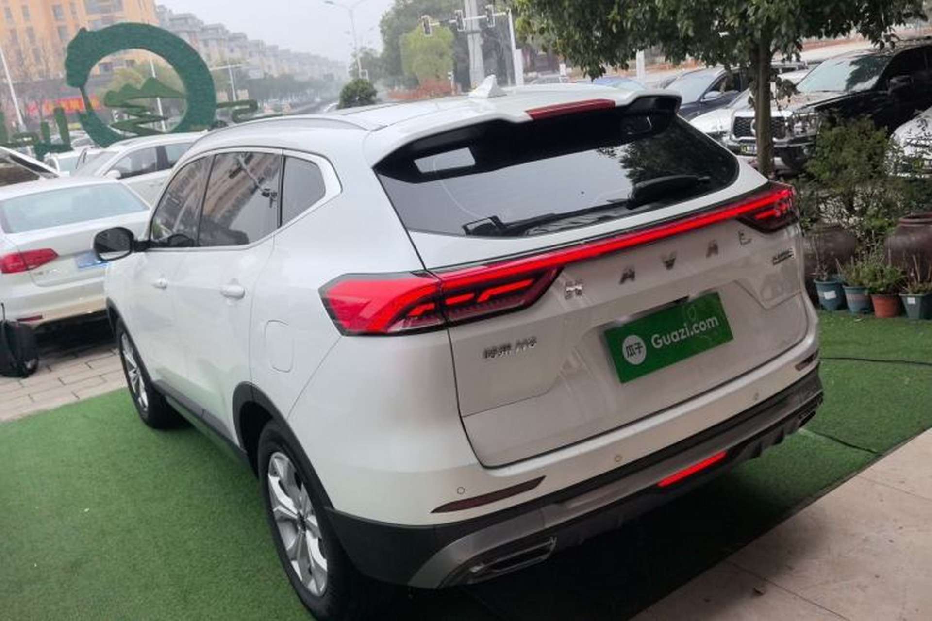 Used Haval H6 2021 National Trend Edition 1.5T Automatic Champion Version Exterior 2